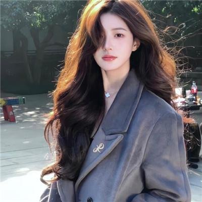 假元首秘纪